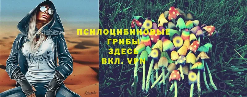 гидра маркетплейс  Кашин  Псилоцибиновые грибы MAGIC MUSHROOMS 